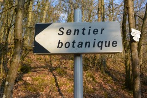 sentier  bot Avril 2013 (3)